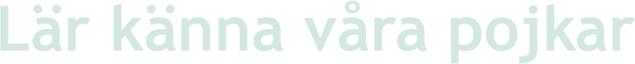 Lär känna våra pojkar