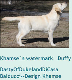 Khamse´s watermark   Duffy DastyOfDukelandDiCasa Balducci--Design Khamse