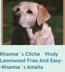 Khamse´s Cliche   VindyLawnwood Free And Easy--Khamse´s Amalia